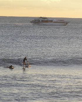 Stand Up Paddle