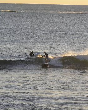 Stand Up Paddle