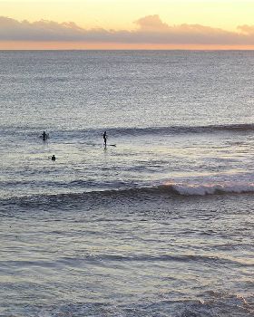 Stand Up Paddle