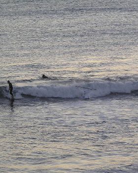 Stand Up Paddle