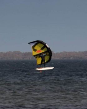 Wind Wings