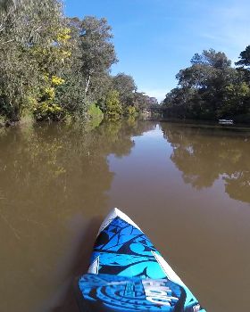 Stand Up Paddle