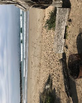 Life's a beach