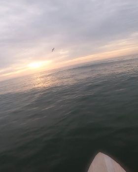 Stand Up Paddle