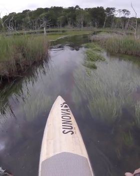 Stand Up Paddle