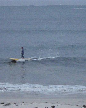 Stand Up Paddle