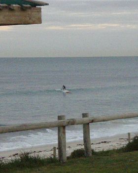 Stand Up Paddle