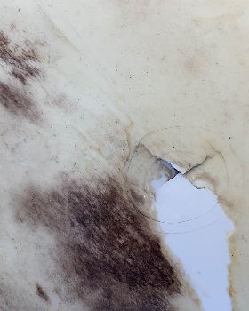 Ding repair advice