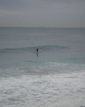 Windy at Watermans
