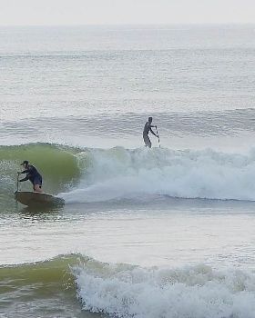 Stand Up Paddle