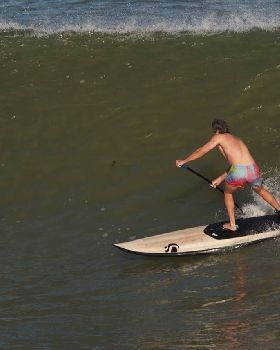 Stand Up Paddle