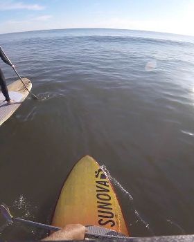 Stand Up Paddle