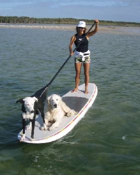 Stand Up Paddle
