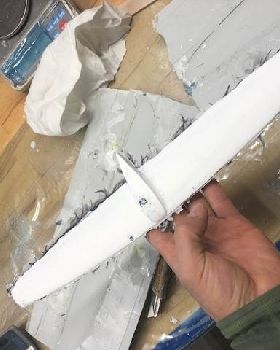 wing1
