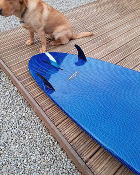 Steller OZX 8'5"