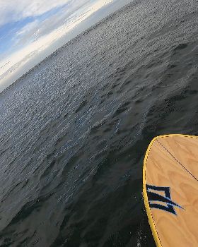 Stand Up Paddle
