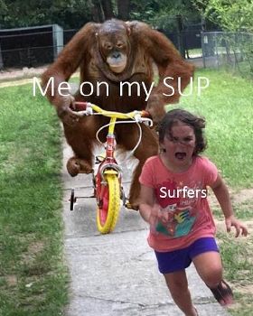 Surfers