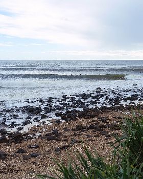 Burleigh Rocky