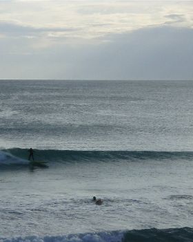 Windy Miller