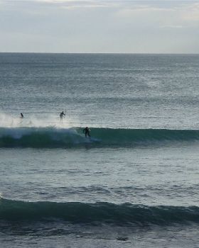 Stand Up Paddle