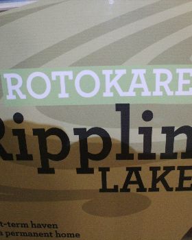 rotokare two