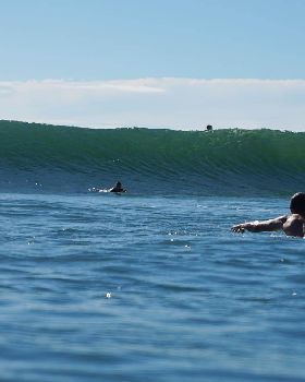 Burleigh Rocky Feb 2021
