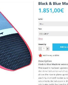Stand Up Paddle