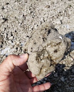 Pumice