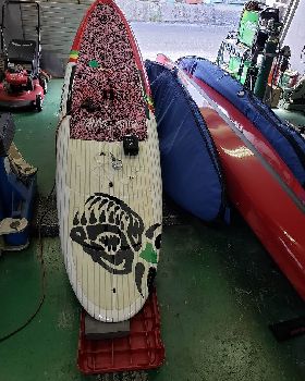 Stand Up Paddle
