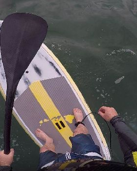 BB SUP looking down