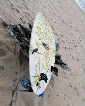 lrd bottom tail souche