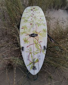 lrd bot beach