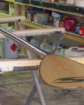 Stand Up Paddle