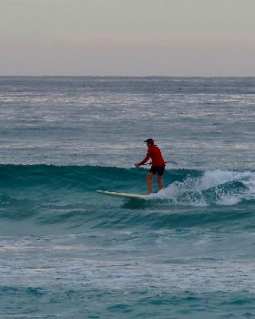 Stand Up Paddle
