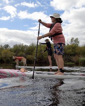 Stand Up Paddle