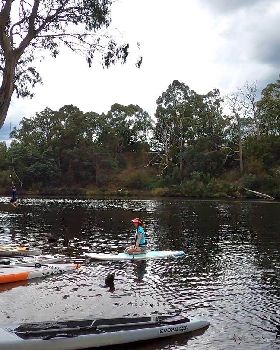 Stand Up Paddle