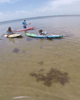 Stand Up Paddle