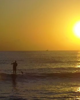 Stand Up Paddle