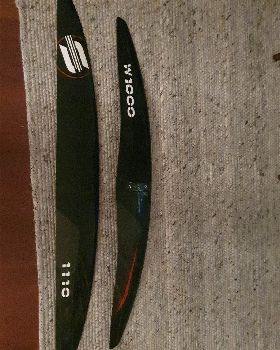 Sab1110