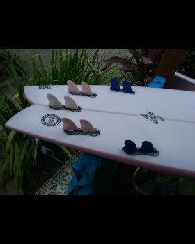 ZigFins