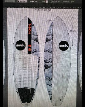 Stand Up Paddle