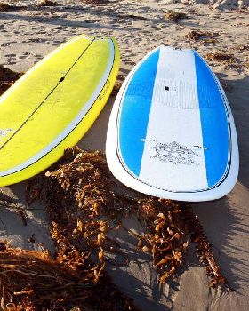STARBOARD