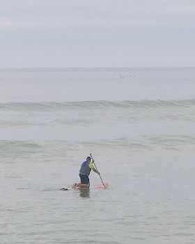 Stand Up Paddle