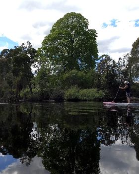 Stand Up Paddle
