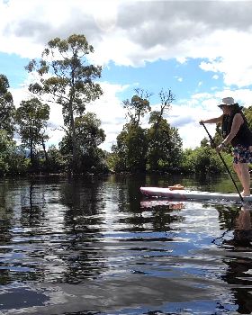 Stand Up Paddle