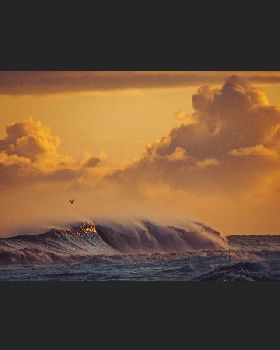 Wave