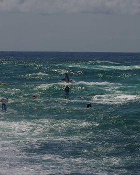 Stand Up Paddle