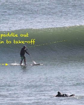 Stand Up Paddle
