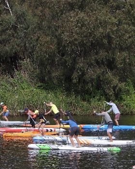 Stand Up Paddle