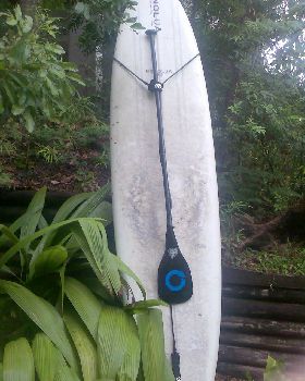 hold paddle to board